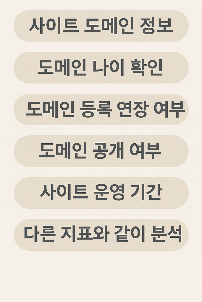 도메인으로 스캠 인포그래픽